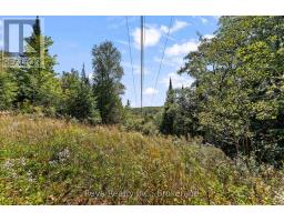 834 Hybla Road, Hastings Highlands, ON K0L1C0 Photo 29
