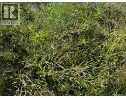 Preeceville 320 Acres Grain Farmland, Preeceville Rm No  334, SK S0A3B0 Photo 15
