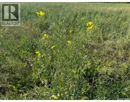 Preeceville 320 Acres Grain Farmland, Preeceville Rm No  334, SK S0A3B0 Photo 16