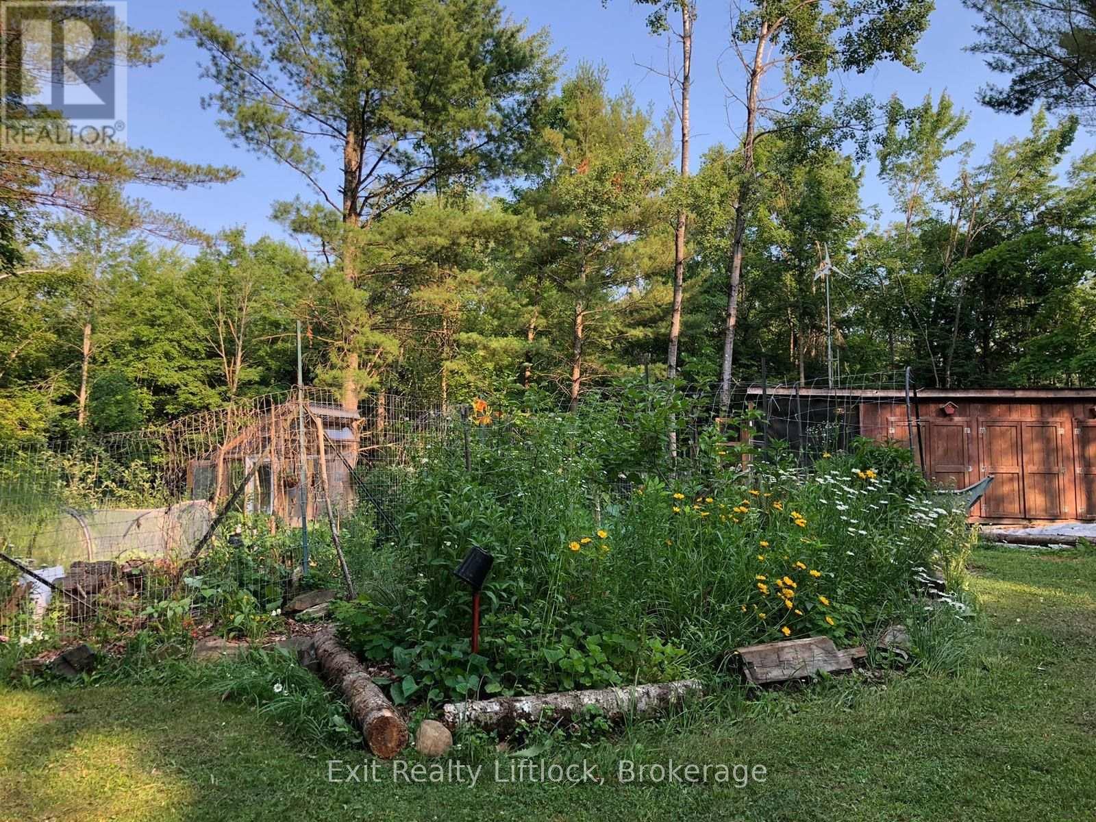 00 NEAR BANNOCKBURN RD. ROAD, Madoc — photo 2