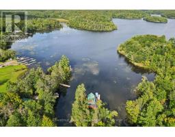 2215 Miriam Drive, Kawartha Lakes, ON K0M2K0 Photo 39