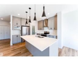 9235 223 St Nw Nw, Edmonton, AB T5T7M1 Photo 13