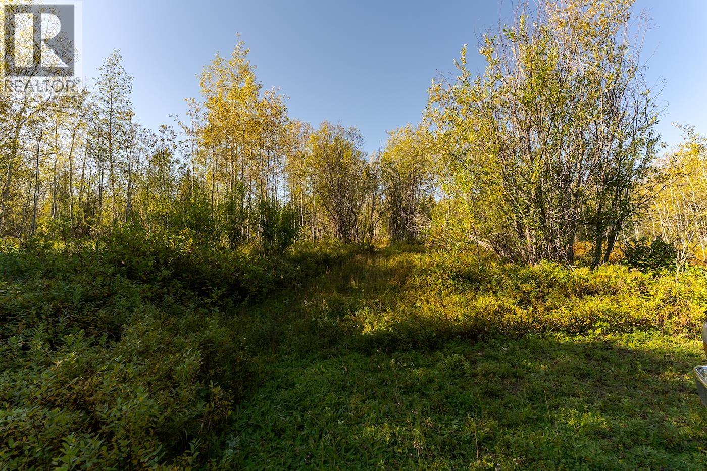 Photo 32 of 40 — 5855 MCLEOD ROAD · Prince George, BC