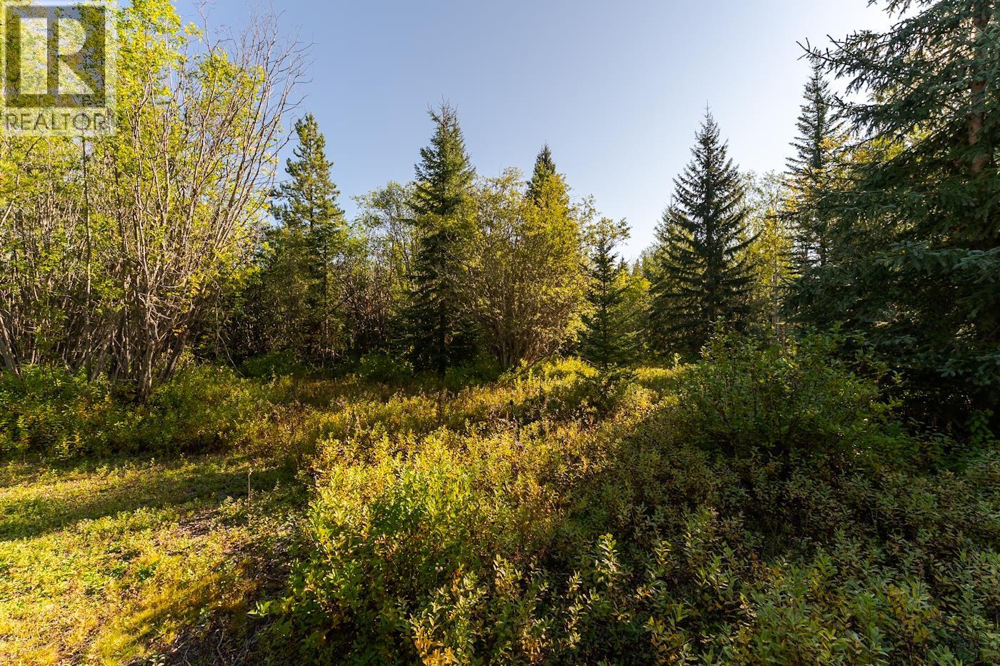 Photo 33 of 40 — 5855 MCLEOD ROAD · Prince George, BC