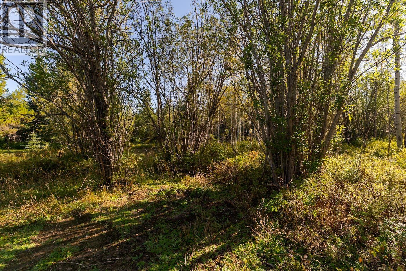 Photo 31 of 40 — 5855 MCLEOD ROAD · Prince George, BC