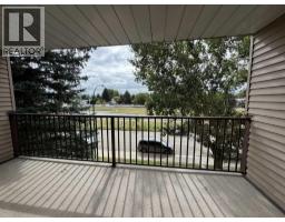 303, 85 Foxbend Crescent N, Lethbridge, AB T1H5T4 Photo 20