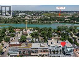 504, 1020 9 Avenue Se, Calgary, AB T2G0S7 Photo 28
