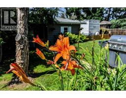 4708 47 Street, Camrose, AB T4V1J5 Photo 33