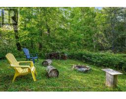 225 White Church Road, Faraday, ON K0L1P0 Photo 14