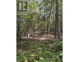225 White Church Road, Faraday, ON K0L1P0 Photo 22
