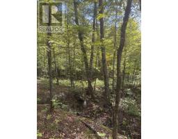225 White Church Road, Faraday, ON K0L1P0 Photo 23
