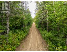 225 White Church Road, Faraday, ON K0L1P0 Photo 25