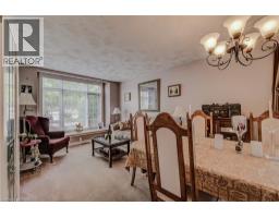 Recreation room - 45 Olivetree Road, Brantford, ON N3R7X1 Photo 7