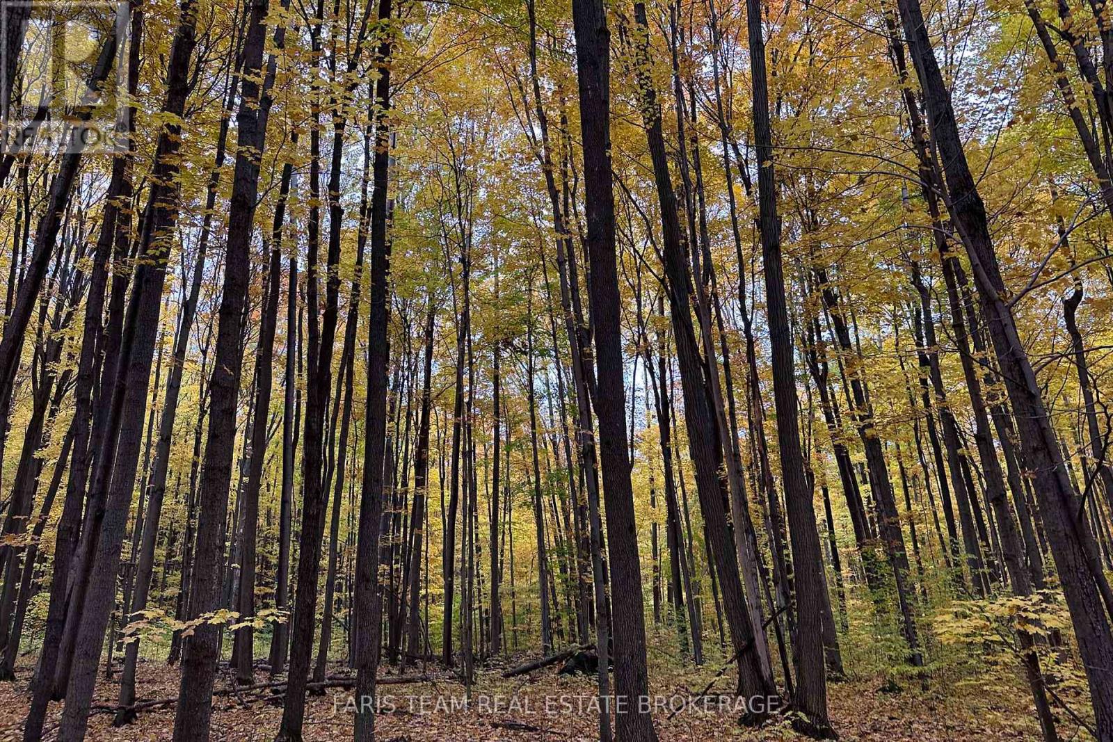 418 CONCESSION 13 ROAD E, Tiny — photo 10