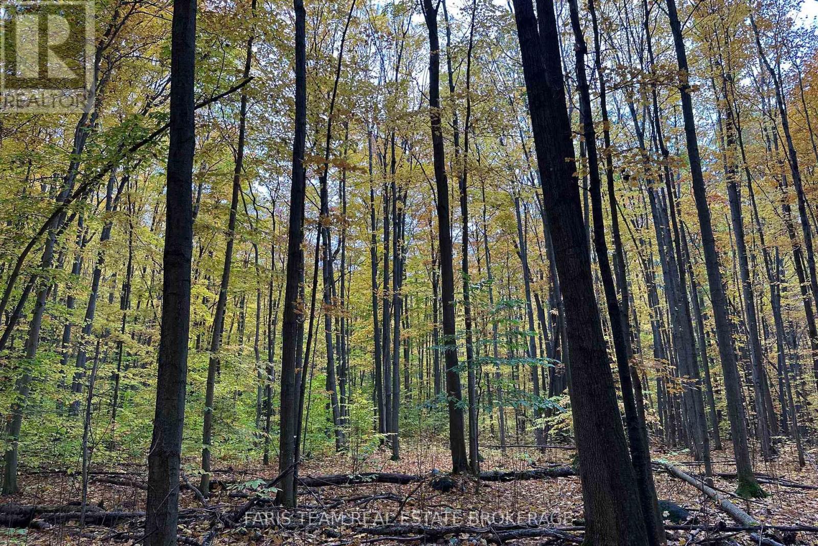 418 CONCESSION 13 ROAD E, Tiny — photo 11