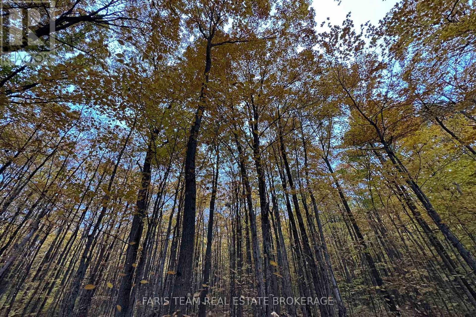 418 CONCESSION 13 ROAD E, Tiny — photo 12