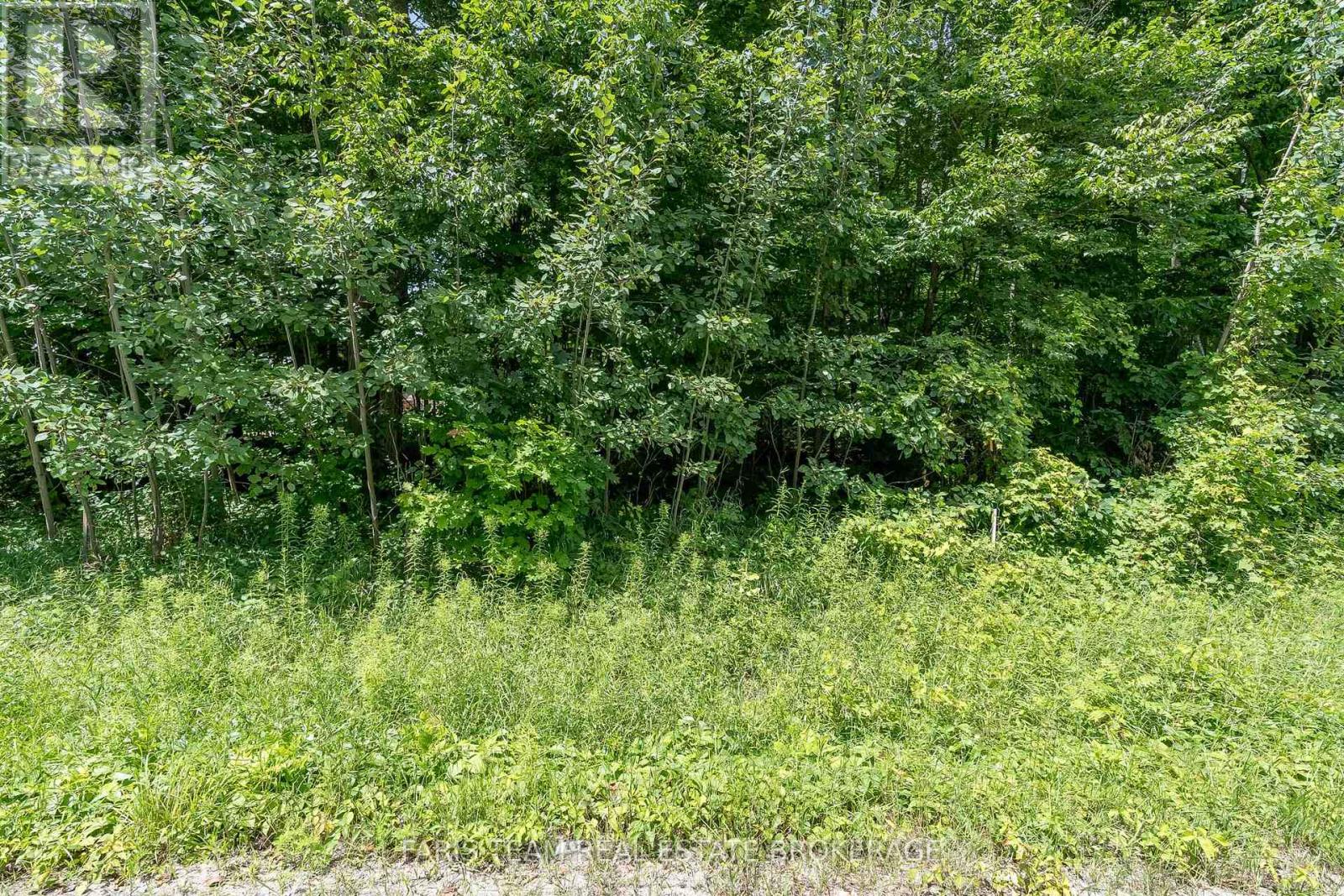 418 CONCESSION 13 ROAD E, Tiny — photo 4
