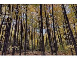 418 Concession 13 Road E, Tiny, ON L9M2H7 Photo 10