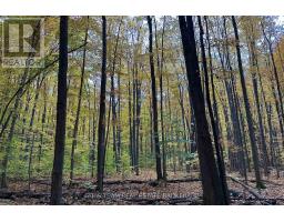 418 Concession 13 Road E, Tiny, ON L9M2H7 Photo 11