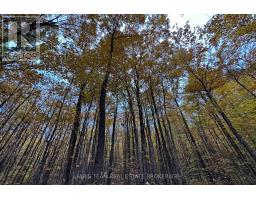 418 Concession 13 Road E, Tiny, ON L9M2H7 Photo 12