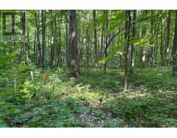 418 Concession 13 Road E, Tiny, ON L9M2H7 Photo 13