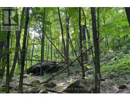 418 Concession 13 Road E, Tiny, ON L9M2H7 Photo 14