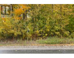 418 Concession 13 Road E, Tiny, ON L9M2H7 Photo 15