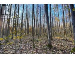 418 Concession 13 Road E, Tiny, ON L9M2H7 Photo 16