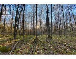 418 Concession 13 Road E, Tiny, ON L9M2H7 Photo 17