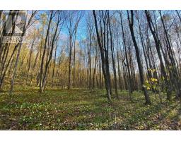 418 Concession 13 Road E, Tiny, ON L9M2H7 Photo 18