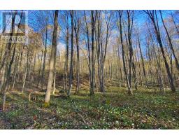 418 Concession 13 Road E, Tiny, ON L9M2H7 Photo 19