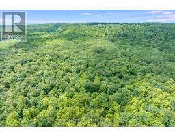 418 Concession 13 Road E, Tiny, ON L9M2H7 Photo 7