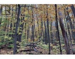 418 Concession 13 Road E, Tiny, ON L9M2H7 Photo 9