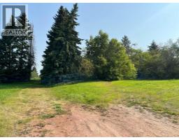 5128 & 5124 56 Street, Innisfail, AB T4G1R5 Photo 8