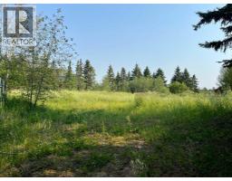 5128 & 5124 56 Street, Innisfail, AB T4G1R5 Photo 9