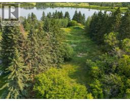 5128 & 5124 56 Street, Innisfail, AB T4G1R5 Photo 16