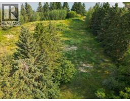 5128 & 5124 56 Street, Innisfail, AB T4G1R5 Photo 17