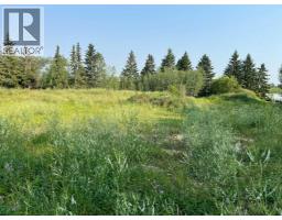 5128 & 5124 56 Street, Innisfail, AB T4G1R5 Photo 10