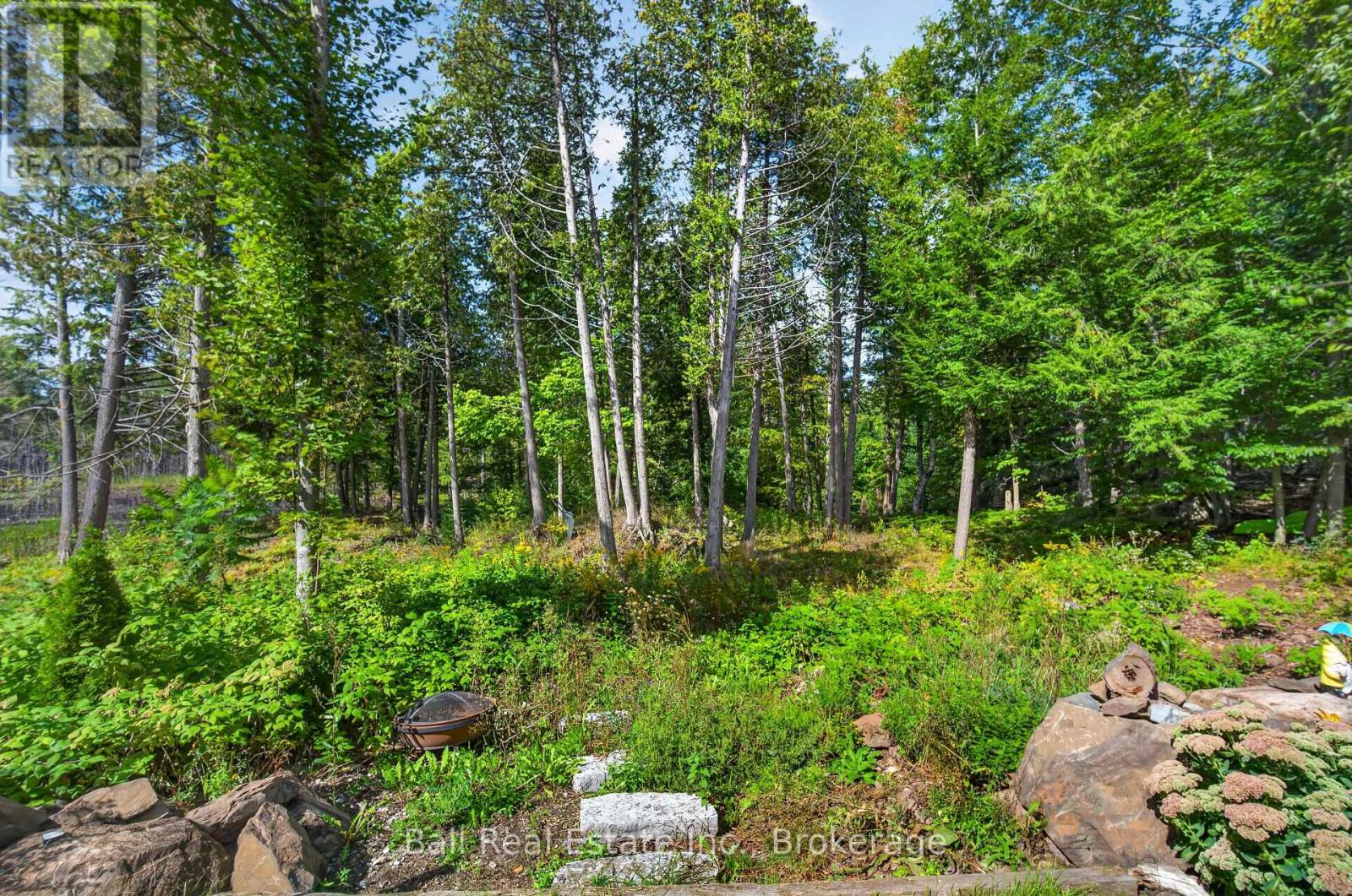 2350 Crowes Landing Road, Douro-Dummer, ON photo 49