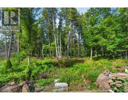 2350 Crowes Landing Road, Douro Dummer, ON K0L2H0 Photo 49