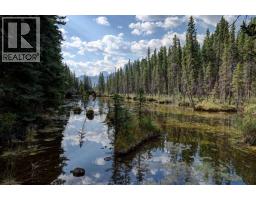 845 14th Street, Canmore, AB T1W1W7 Photo 39