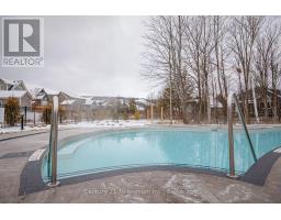 341 Yellow Birch Crescent, Blue Mountains, ON L9Y0Y5 Photo 47