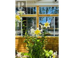 24 Queen Street, Bridgewater, NS B4V1P1 Photo 43