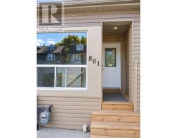Lower - 801 Pape Avenue, Toronto, ON M4K3T2 Photo 7