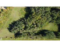 474009 Rge Road 10, Rural Wetaskiwin County, AB T0C2C0 Photo 40