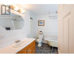 241 Main Street, Erin, ON N0B1T0 Photo 29