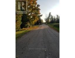 30 Beach Road, Kawartha Lakes, ON K0M2C0 Photo 6