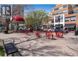 101, 1720 10 Street Sw, Calgary, AB T2T3E8 Photo 33