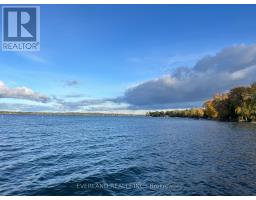 745 Harbour Street, Innisfil, ON L0L1W0 Photo 49