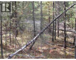 Lot 4 Foothills Road, Horse Lake, BC V0K2E3 Photo 8